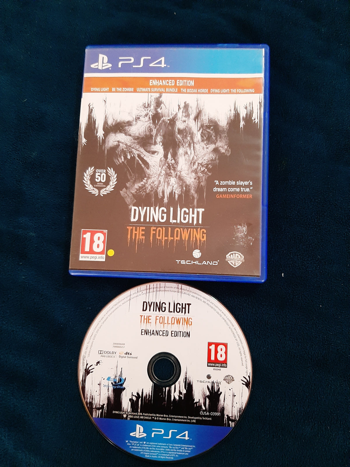 Dying Light: The following
