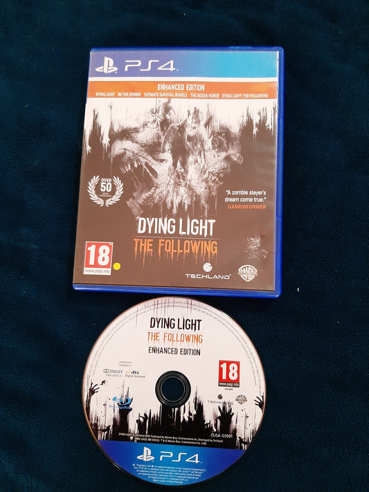 Dying Light: The following